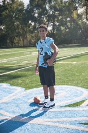 article image - Mingo Maple 1